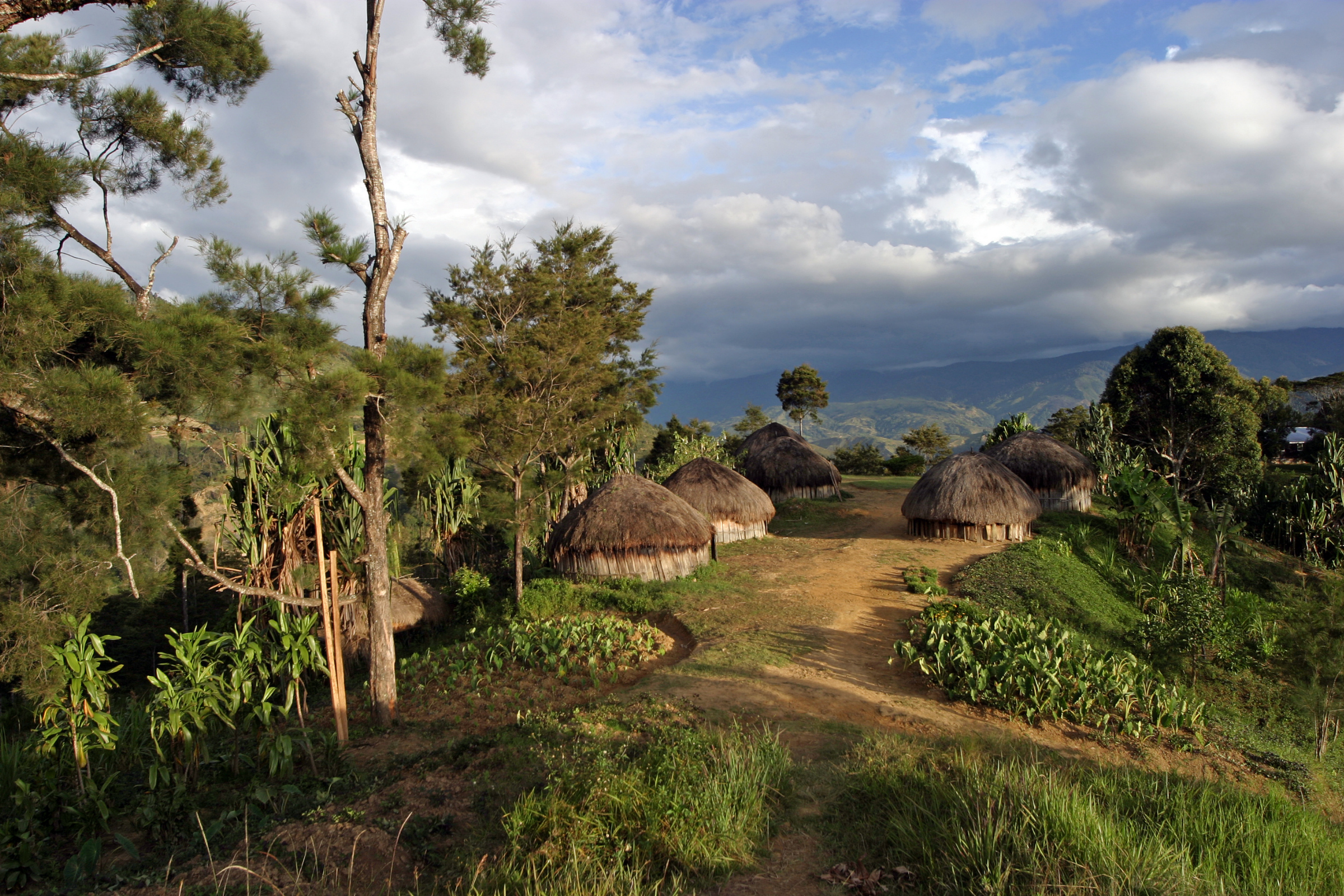 kopar village, sepik river (3).webp